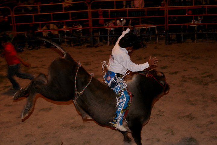 jaripeo1-coix